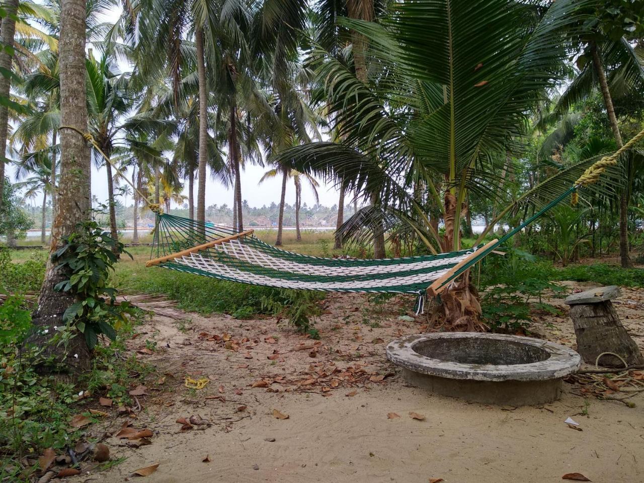Blue Birds Homestay Cherai Beach Bagian luar foto